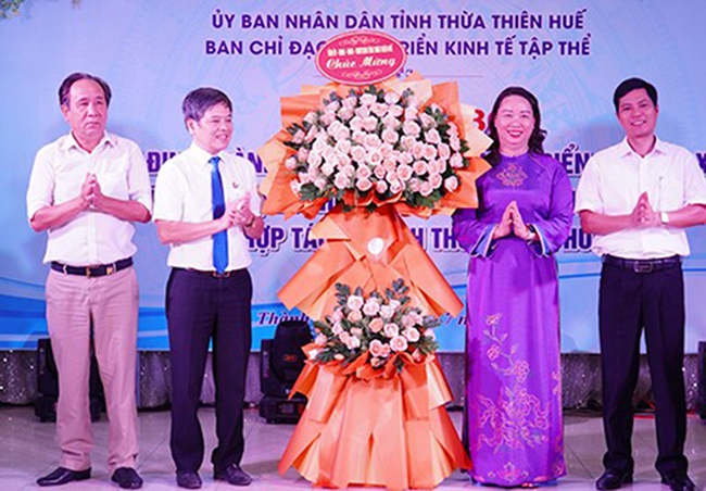 Ra mắt Quỹ hỗ trợ phát triển hợp tác xã tỉnh Thừa Thiên Huế - Ảnh 1.