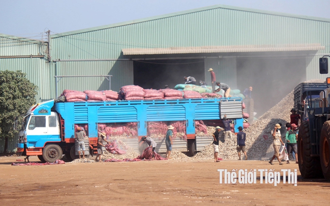 Hoạt động xuất nhập khẩu mì và các sản phẩm từ mì ở cửa khẩu biên giới Tây Ninh. Ảnh: Trần Khánh