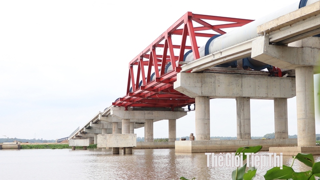 Đoạn công trình đưa nước vượt sông Vàm Cỏ Đông dài 2,3km, kết cấu bằng ống thép, đặc trên trụ đỡ bê tông cốt thép. Ảnh: Trần Khánh