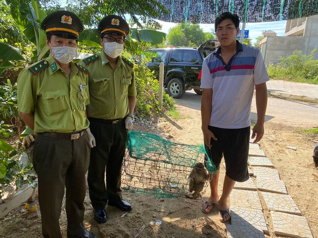 Thừa Thiên Huế: Người dân bắt được vượn và khỉ quý hiếm đi lạc - Ảnh 2.