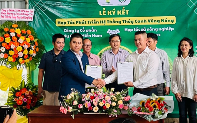 Chi cục Phát triển nông thôn TP.HCM hỗ trợ các HTX nông nghiệp công nghệ cao liên kết sản xuất, tiêu thụ với doanh nghiệp. Ảnh: Trần Khánh