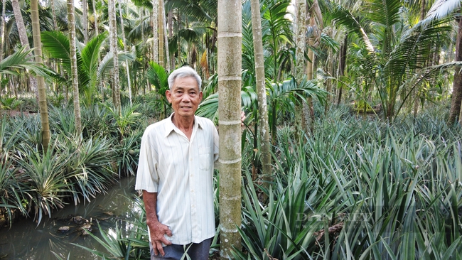 Trồng cây khóm, cây cau và cây dừa chung vườn, lão nông ở Kiên Giang trở thành &quot;Nông dân Việt Nam xuất sắc 2022&quot; - Ảnh 3.