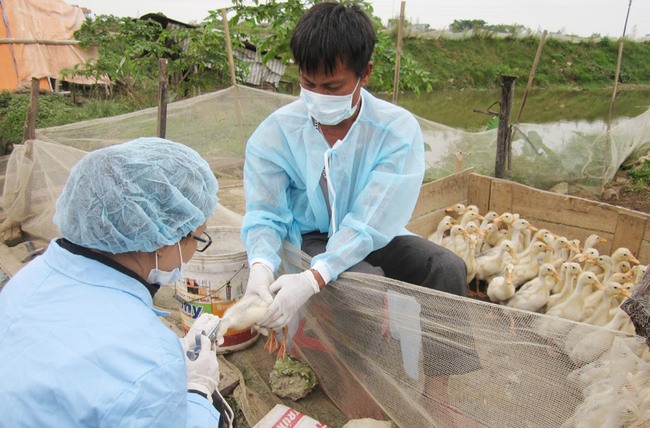 Bộ NNPTNT cam kết tăng cường phòng, chống dịch bệnh từ động vật sang người - Ảnh 1.