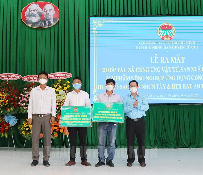 Liên tiếp thành lập nhiều HTX mới - Ảnh 3.