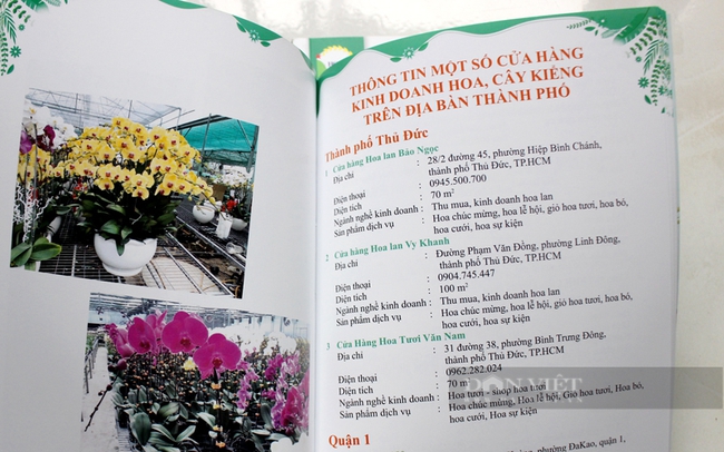 Danh sách, địa chỉ liên hệ của các cơ sở sản xuất hoa, cây kiểng trên địa bàn TP.HCM. Ảnh: Trần Khánh