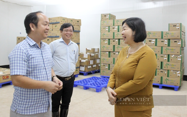 Bà Cao Xuân Thu Vân - Phó Chủ tịch Trung ương Hội Nông dân Việt Nam đánh giá cao mô hình trồng chuối công nghệ cao của Công ty U&I. Ảnh: Nguyên Vỹ