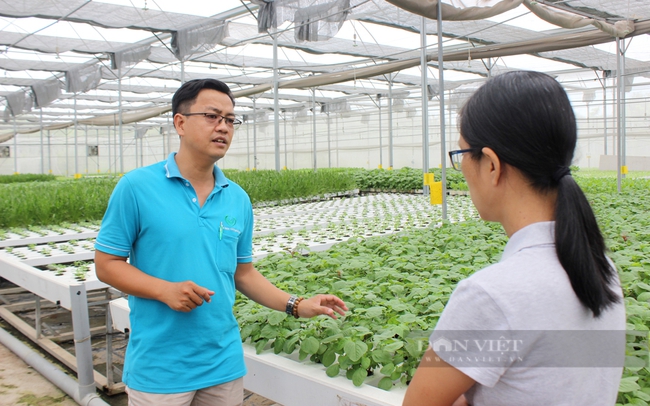 Anh Lâm Ngọc Tuấn – Chủ tịch HĐQT, Giám đốc HTX Tuấn Ngọc giới thiệu về mô hình nông nghiệp công nghệ cao. Ảnh: Nguyên Vỹ