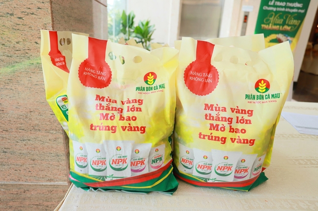 “Mùa vàng thắng lớn” tiếp nối bờ vui - Ảnh 3.