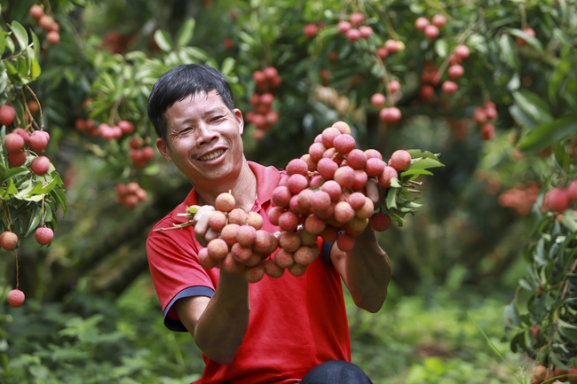 Phát huy vai trò chủ thể của nông dân là mục tiêu cao nhất - Ảnh 2.