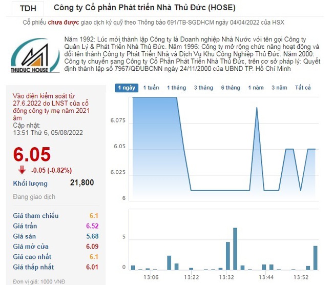 Không còn ghi nhận doanh thu “bán con”, Thuduc House báo kết quả kinh doanh bết bát - Ảnh 2.