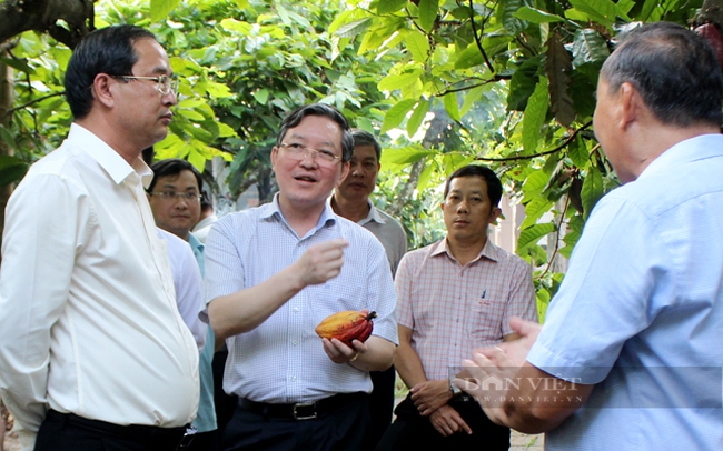 Chủ tịch Trung ương Hội Nông dân Việt Nam Lương Quốc Đoàn trao đổi với nông dân Việt Nam xuất sắc Trịnh Văn Thành ở xã Xà Bang, huyện Châu Đức. Ảnh: Nguyên Vỹ