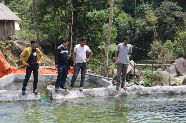 Hội Nông dân tỉnh Lào Cai chung tay xây dựng nông thôn mới - Ảnh 2.