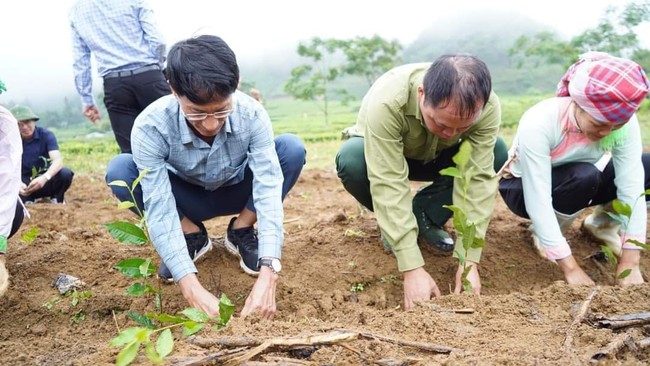 Mường Khương tổ chức Lễ phát động phong trào sản xuất chè năm 2022  - Ảnh 3.