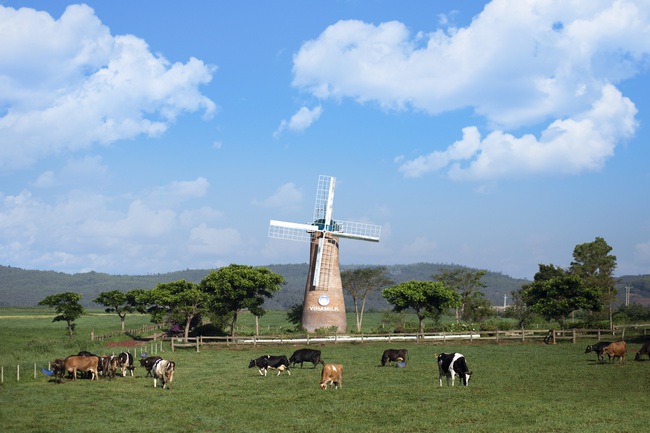Cụm Trang trại bò sữa Vinamilk Đà Lạt được vinh danh tại Giải thưởng Môi trường Việt Nam - Ảnh 2.