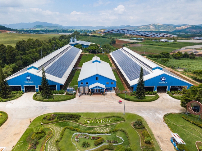 Cụm Trang trại bò sữa Vinamilk Đà Lạt được vinh danh tại Giải thưởng Môi trường Việt Nam - Ảnh 4.