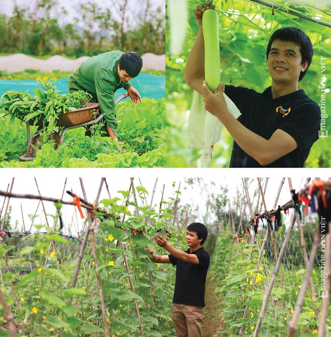 Tâm tư trước Diễn đàn Người nông dân chuyên nghiệp: Mong được hỗ trợ nhân lực trình độ cao, kiến thức, vốn vay... - Ảnh 4.