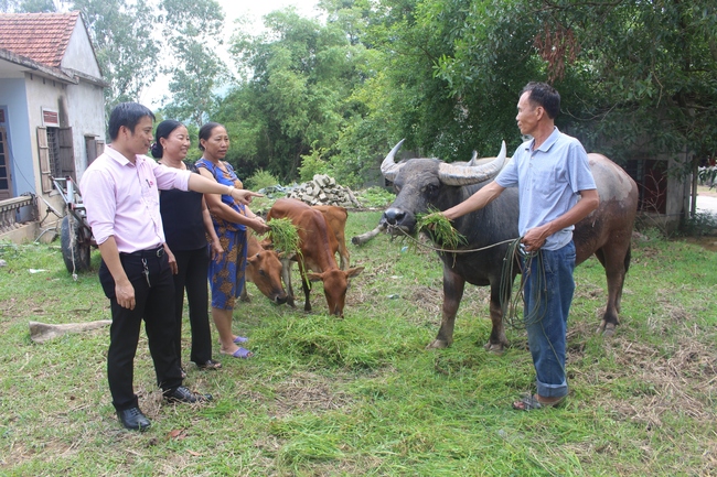 Tạo vốn làm ăn cho hơn 103.000 hộ nghèo - Ảnh 1.