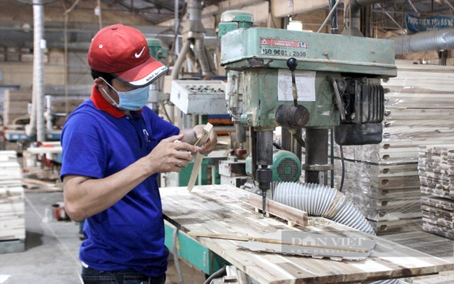 Một doanh nghiệp chế biến gỗ ở TP.Thuận An, Bình Dương. Ảnh: Trần Khánh