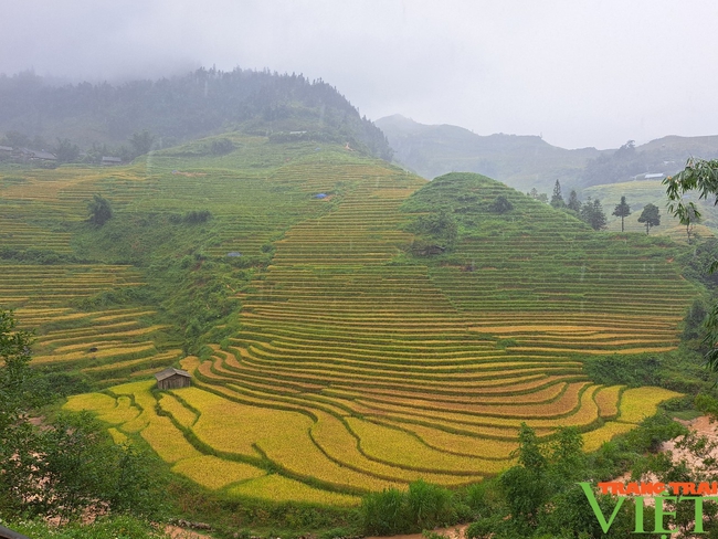 Nhiều giải pháp giúp ngành nông nghiệp Lào Cai phát triển toàn diện - Ảnh 1.