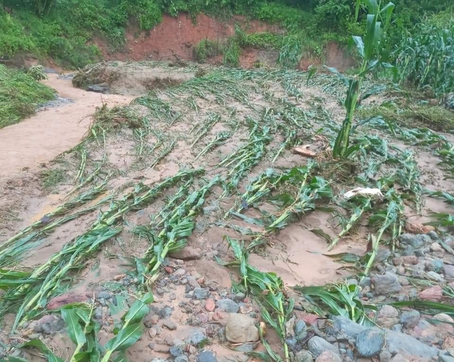 Lào Cai: Huyện Bảo Yên thiệt hại gần 6 tỷ đồng do mưa lũ - Ảnh 1.