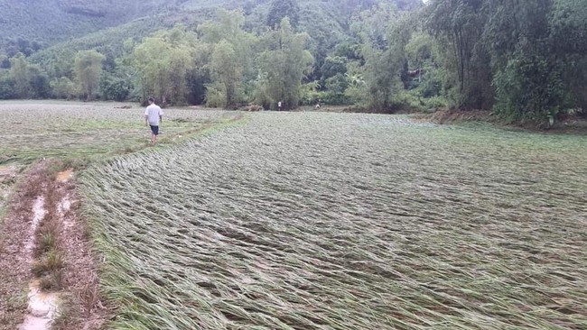 Lào Cai: Huyện Bảo Yên thiệt hại gần 6 tỷ đồng do mưa lũ - Ảnh 2.