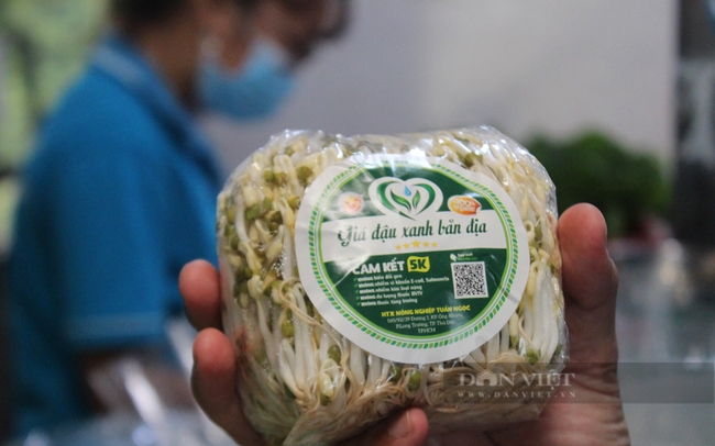 Sản phẩm giá đậu xanh thuần chủng, được làm từ hạt giống đậu xanh thuần chủng. Ảnh: Trần Khánh