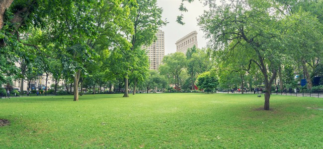 BĐS đắt đỏ quanh công viên Madison Square, New York vẫn luôn được giới thượng lưu săn đón.