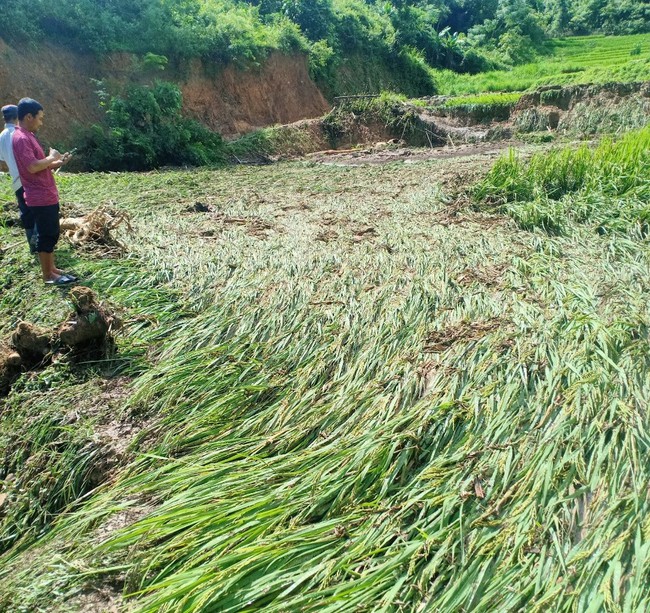 Mưa lũ kinh hoàng khiến huyện miền núi ở Nghệ An thiệt hại gấp 5 lần thu ngân sách cả năm - Ảnh 3.