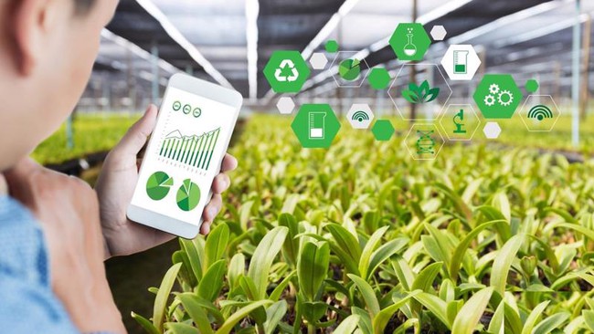 Đà Nẵng đẩy mạnh ứng dụng CNTT thu thập thông tin, dự báo tình hình thị trường nông sản - Ảnh 2.