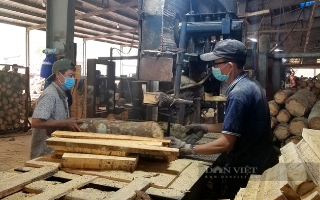 Người lao động làm việc tại một xưởng chế biến gỗ ở huyện Dầu Tiếng, Bình Dương. Ảnh: Trần Khánh