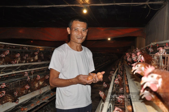 Nông dân Việt Nam xuất sắc 2022 ở Hải Dương là ông chủ trang trại 6 vạn gà đẻ trứng - Ảnh 5.