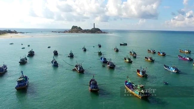 Ngư trường khai thác hải sản tỉnh Bình Thuận. Ảnh: Nguyên Vỹ