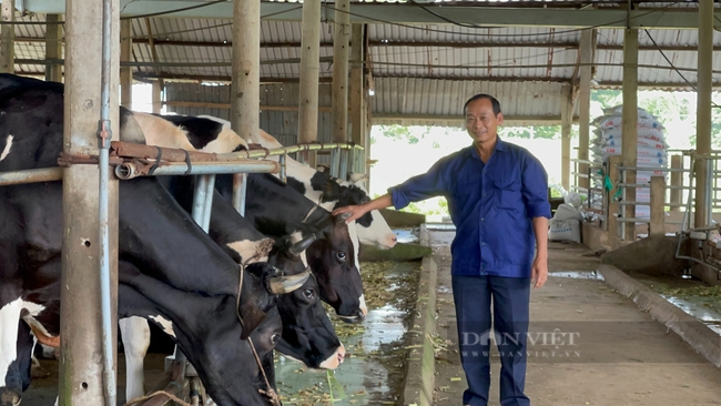 Ông Nhiệm nuôi bò, tự ủ sữa chua có thu nhập trên 2 tỷ/năm, trở thành Nông dân xuất sắc 2022 - Ảnh 1.