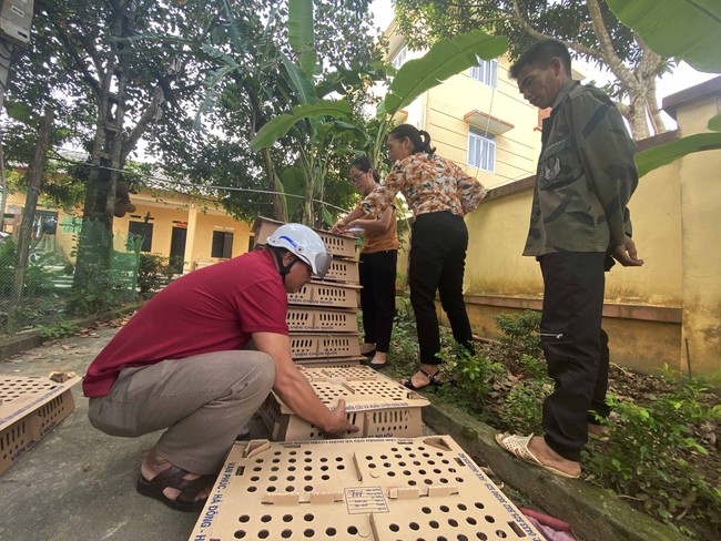 Ứng dụng chế phẩm vi sinh vật nuôi gà theo hướng an toàn sinh học ở Bắc Kạn: Mở hướng chăn nuôi lớn, bền vững - Ảnh 3.