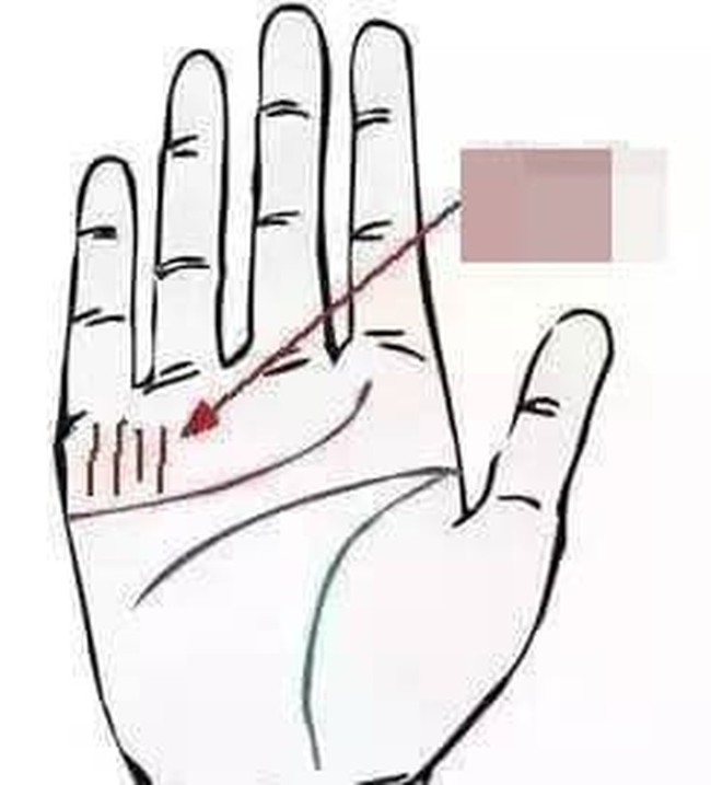 Nếu lòng bàn tay có một trong những dấu hiệu sau cuộc đời sớm muộn cũng  thăng hạng