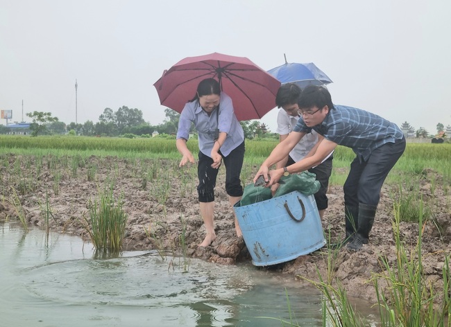 &quot;Đòn bẩy&quot; giúp sản xuất quy củ, hiệu quả - Ảnh 1.