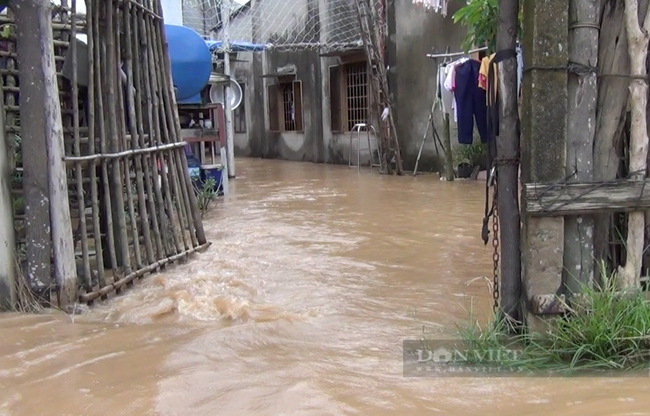 Đồng Nai: Lũ về dâng cao 1 - 1,2m khiến người dân khổ sở, học sinh phải nghỉ học - Ảnh 4.