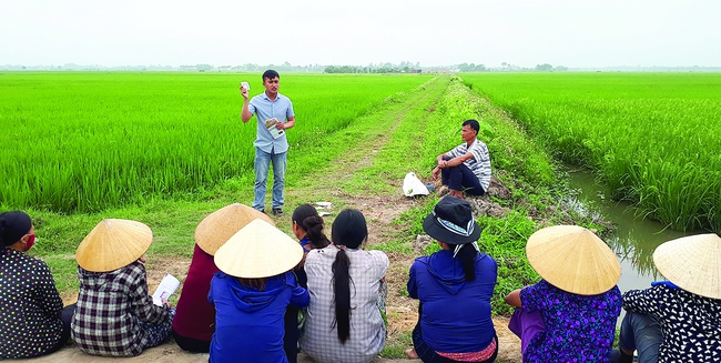 xuan/Khi nhà nông đi học - Ảnh 1.