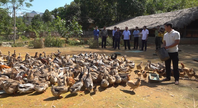 Nông dân Lào Cai khấm khá khi được trao &quot;cần câu&quot; - Ảnh 1.