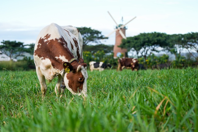 VINAMILK có sản phẩm sữa tươi đầu tiên trên thế giới được chứng nhận từ tổ chức Clean Label Project của Mỹ - Ảnh 9.