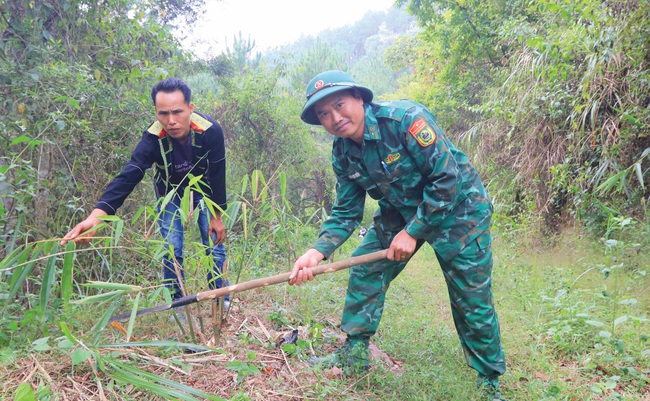 tat/Luỹ tre bảo vệ biên thùy   - Ảnh 3.