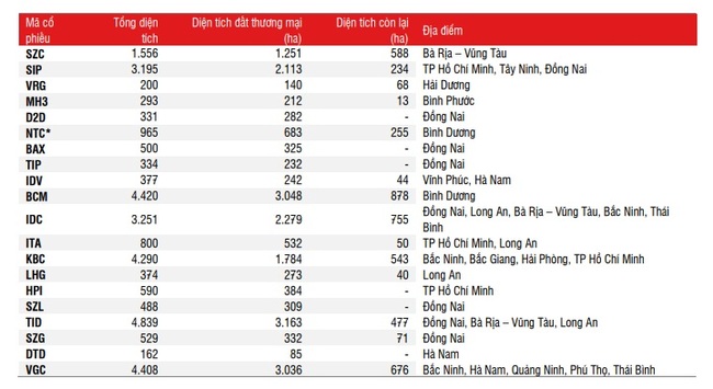 Đâu là động lực tăng trưởng của bất động sản khu công nghiệp năm 2023? - Ảnh 3.