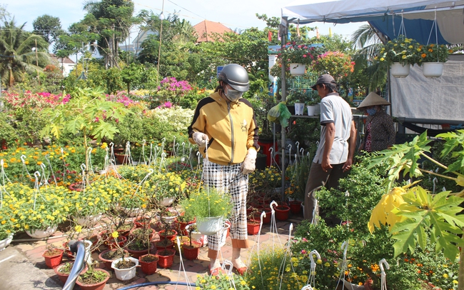 Tại chợ hoa tết Cầu Ngang ở TP.Thuận An, người đi chợ hoa không chỉ để mua hoa mà còn muốn hòa mình vào không khí tết. Ảnh: Trần Khánh