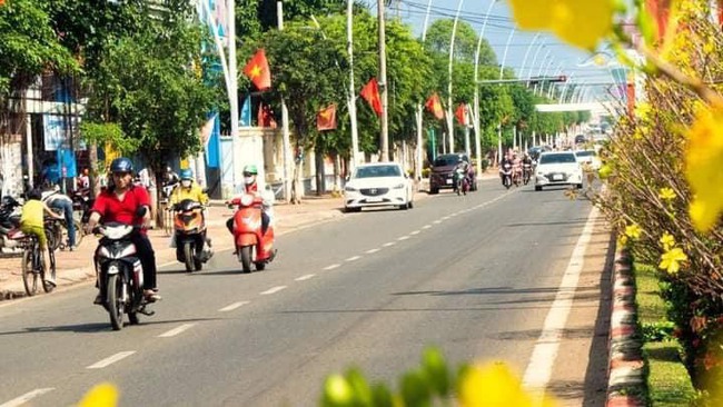 Bà Rịa - Vũng Tàu: Gần 1000 cây mai rực rỡ khoe sắc trên đường phố Châu Đức - Ảnh 3.