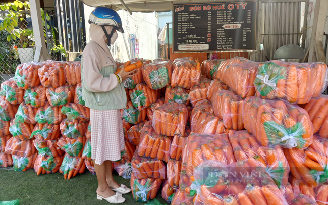 Cà rốt được rửa sạch sẽ, đóng sẵn bịch chừng 10kg, tiện lợi cho các gia đình hoặc các nhóm thiện nguyện và nhà chùa đến lấy. Ảnh: Nguyên Vỹ