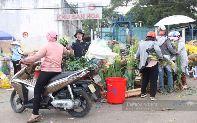 Bó hoa cúc loại nhỏ buổi sáng 10.000 đồng/bó, buổi chiều chỉ còn 5.000 đồng/bó. Người bán hàng vừa bán vì đổ quạu vì: &quot;Đã lỗ muốn chết, giá này vừa bán vừa cho mà cứ trả giá miết!&quot;. Ảnh: Nguyên Vỹ