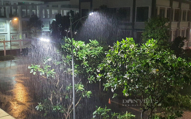 Cơn mưa lớn bất ngờ chiều mùng 3 Tết tại khu vực quận 6, TP.HCM. Ảnh: Trần Khánh