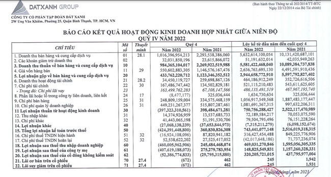 Đất Xanh (DXG) báo lỗ kỷ lục trong quý vì hụt thu mảng kinh doanh cốt lõi - Ảnh 1.