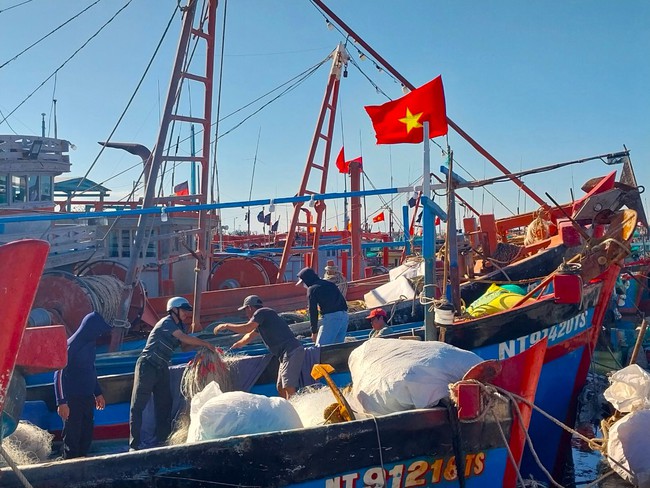 Ngư dân Ninh Thuận hối hả vươn khơi đón &quot;lộc&quot; biển sau Tết - Ảnh 1.