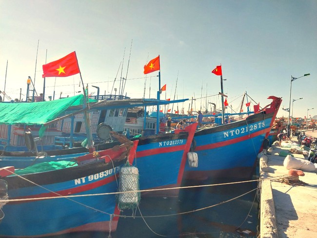 Ngư dân Ninh Thuận hối hả vươn khơi đón &quot;lộc&quot; biển sau Tết - Ảnh 7.